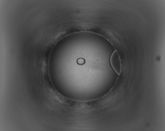 X0000093580866200710221501