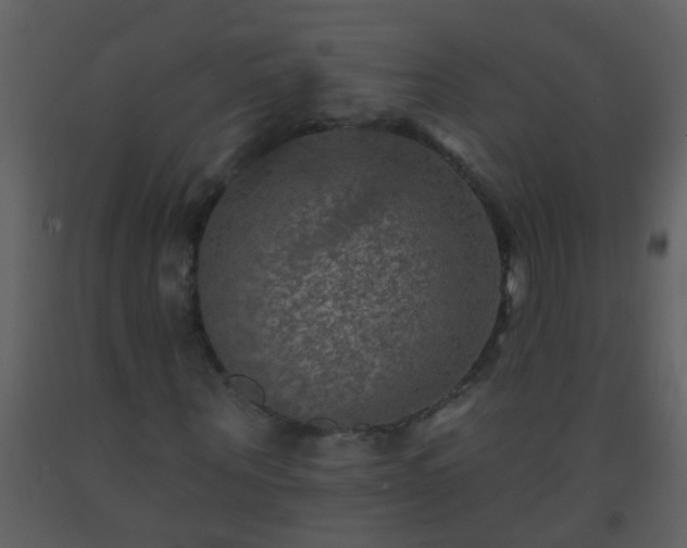 X0000093580867200710221501