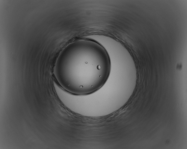 X0000093580868200710221501