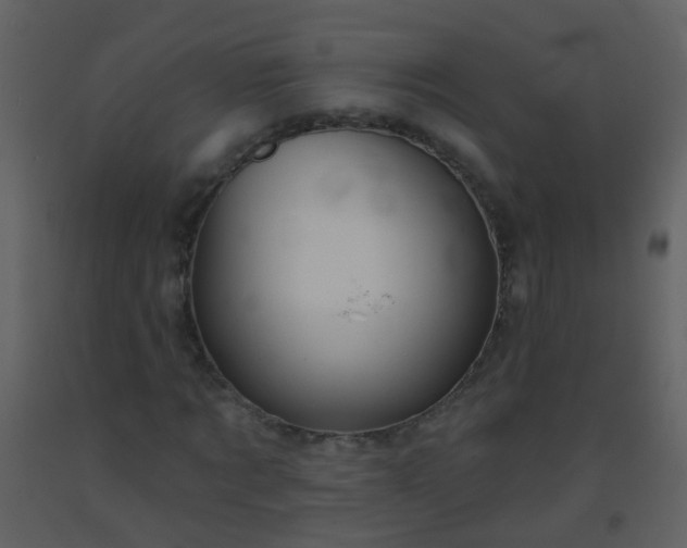 X0000093580869200710221501