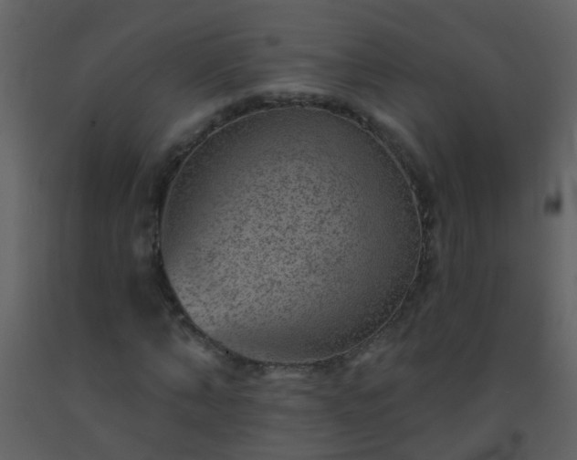 X0000093580870200710221501