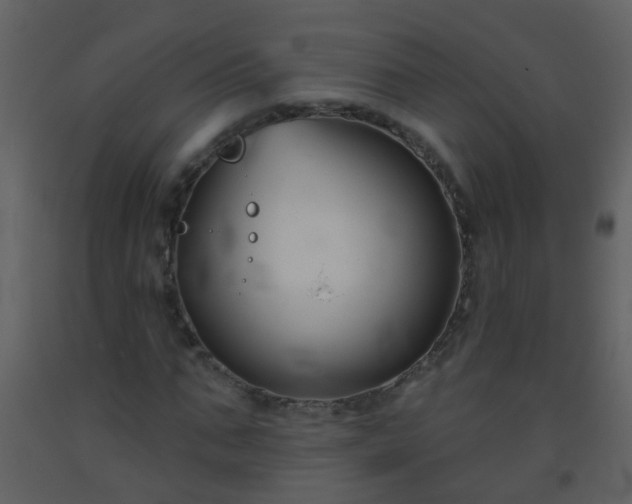 X0000093580871200710221501