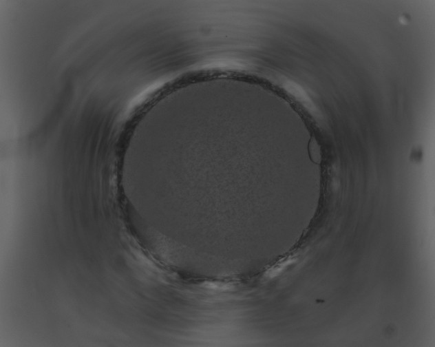 X0000093580872200710221501