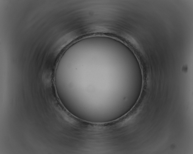 X0000093580873200710221501