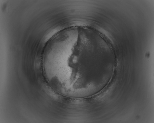 X0000093580874200710221501