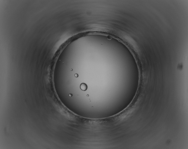 X0000093580875200710221501