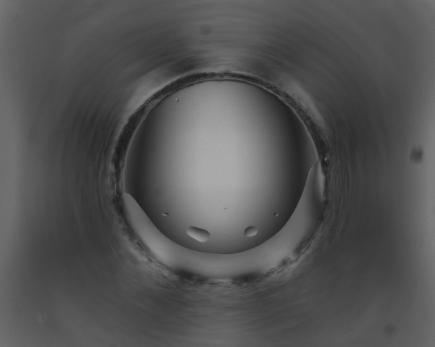 X0000093580876200710221501