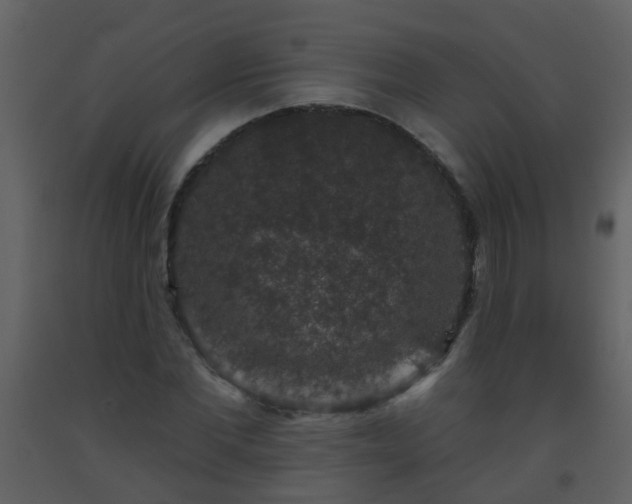 X0000093580877200710221501