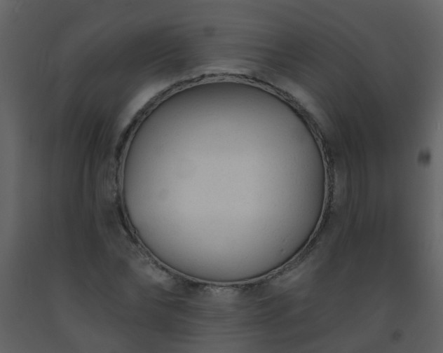 X0000093580878200710221501