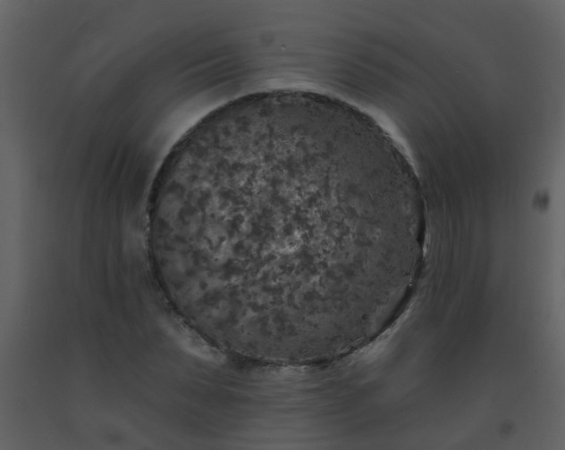 X0000093580879200710221501