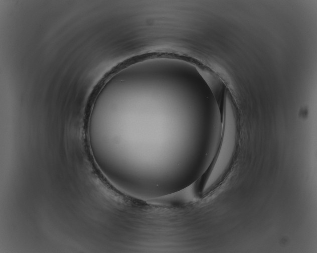 X0000093580880200710221501