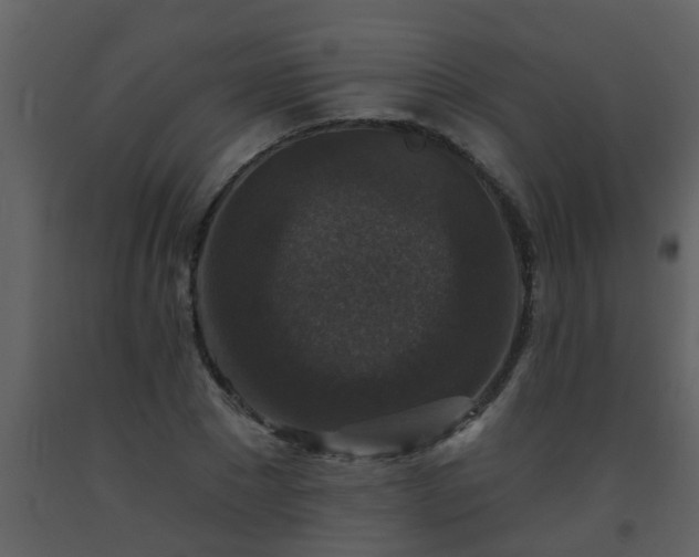 X0000093580881200710221501