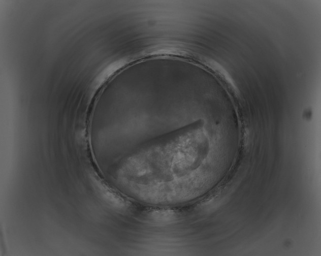 X0000093580882200710221501