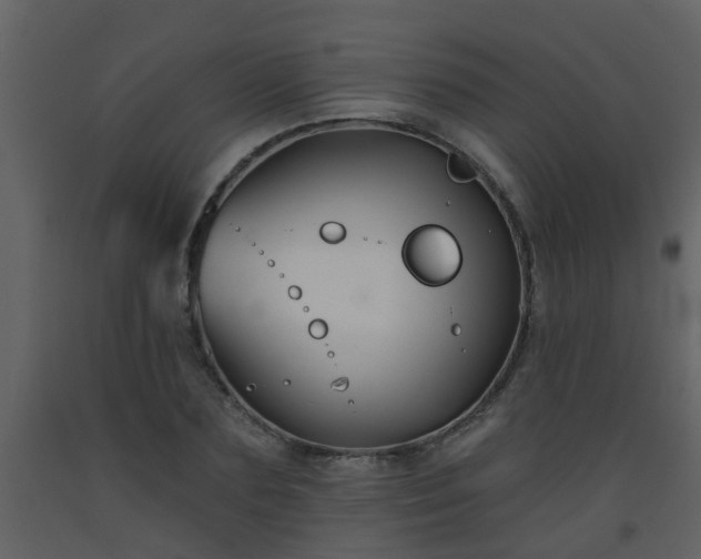 X0000093580883200710221501