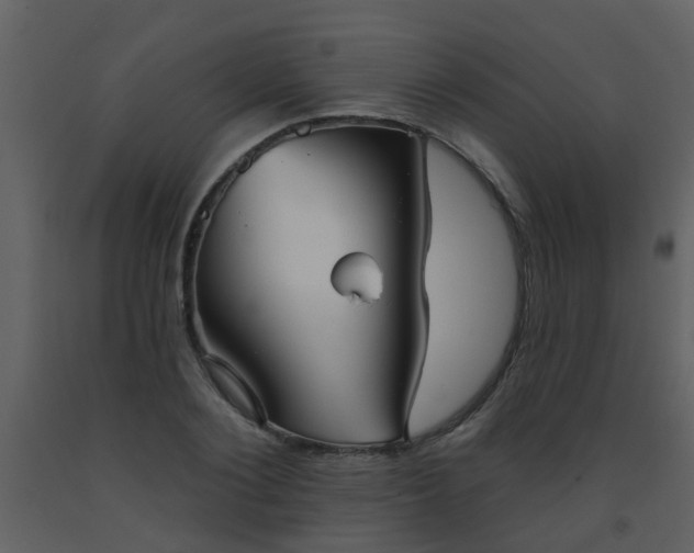 X0000093580884200710221501