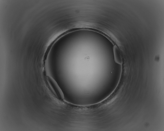 X0000093580885200710221501
