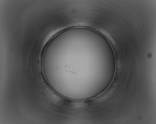 X0000093580886200710221501
