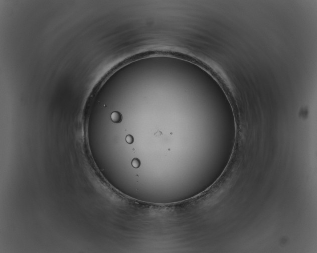 X0000093580887200710221501