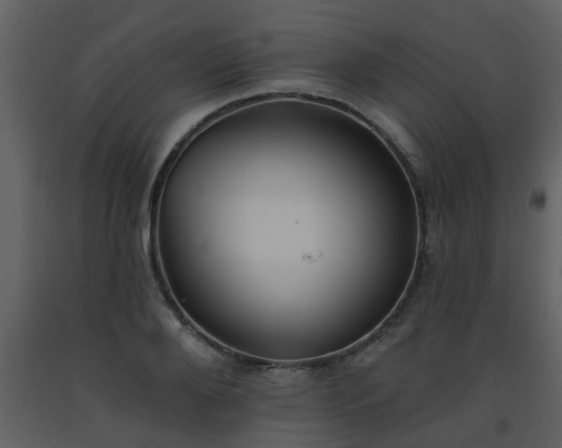 X0000093580888200710221501