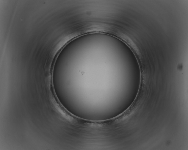 X0000093580890200710221501