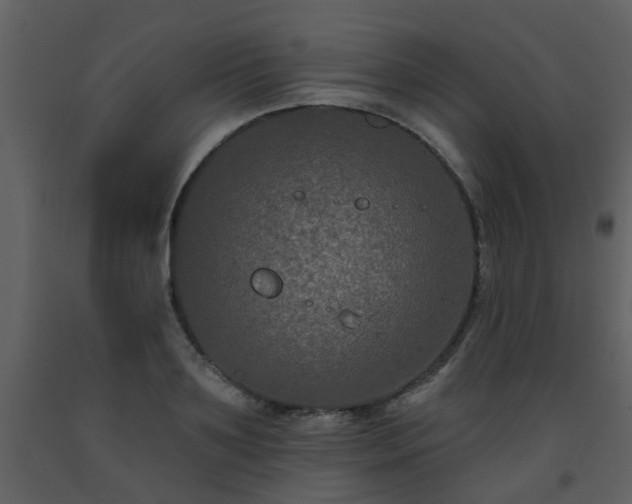 X0000093580891200710221501