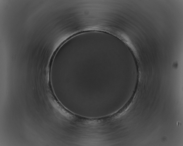 X0000093580892200710221501