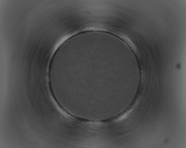 X0000093580893200710221501