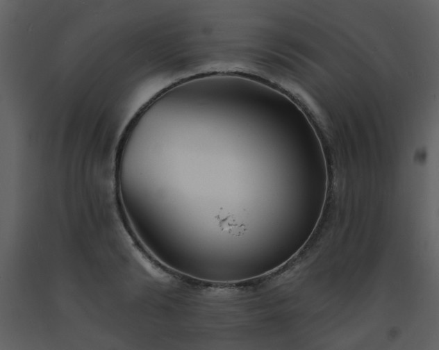 X0000093580894200710221501