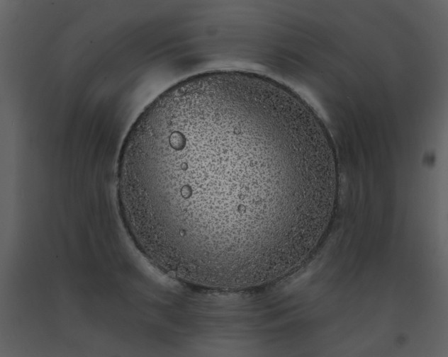 X0000093580895200710221501