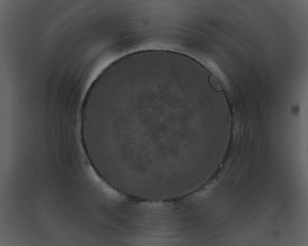 X0000093580896200710221501