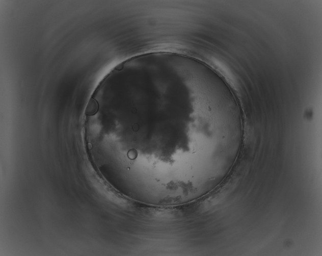 X0000093580899200710221501