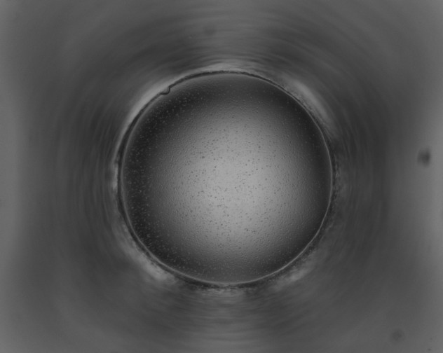 X0000093580900200710221501