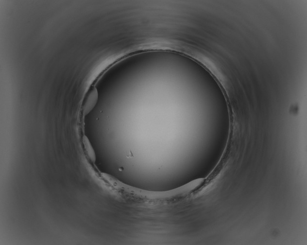 X0000093580901200710221501
