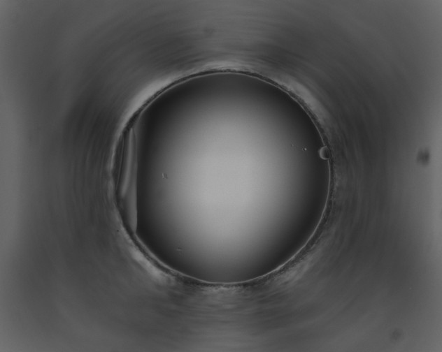 X0000093580902200710221501