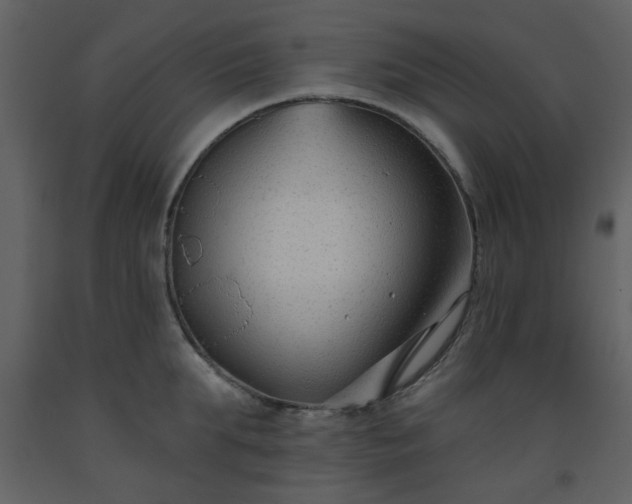 X0000093580903200710221501