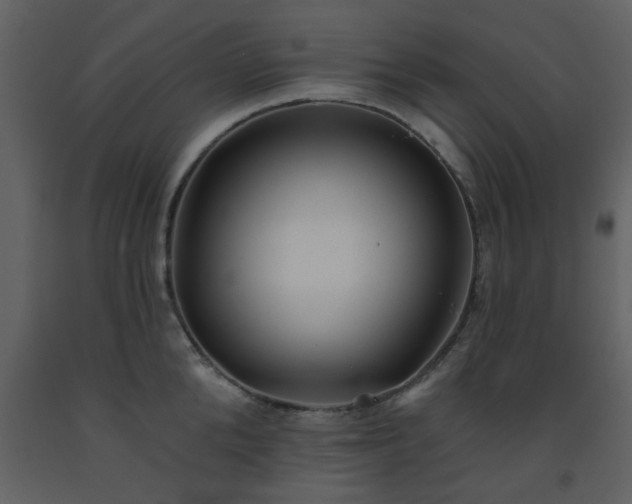 X0000093580904200710221501