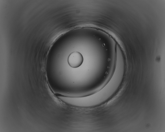 X0000093580905200710221501