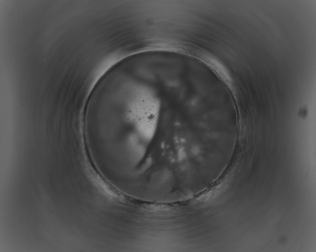 X0000093580907200710221501