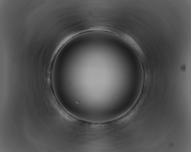 X0000093580908200710221501