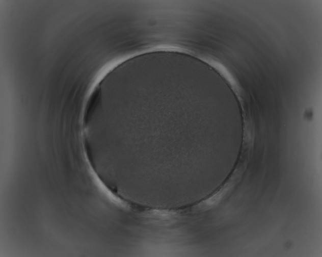 X0000093580910200710221501