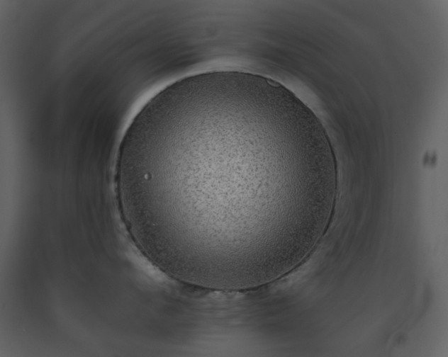 X0000093580912200710221501