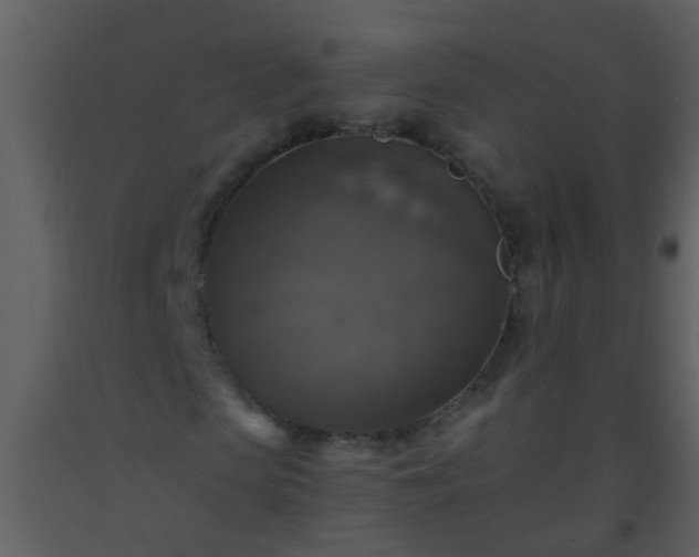 X0000093580913200710221500