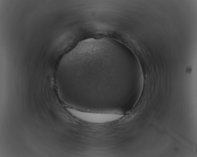 X0000093580916200710221500