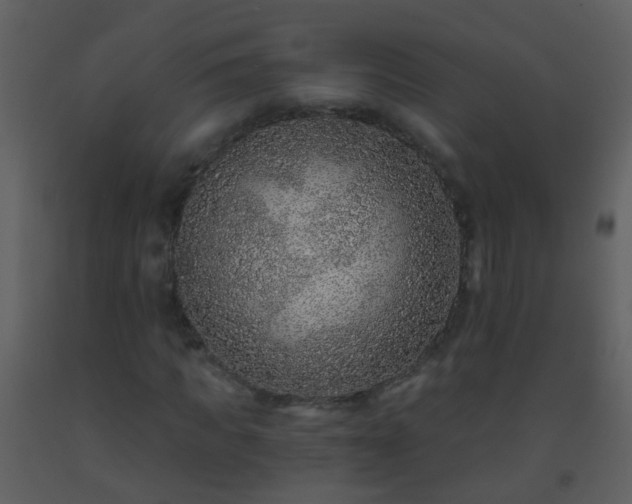 X0000093580917200710221500