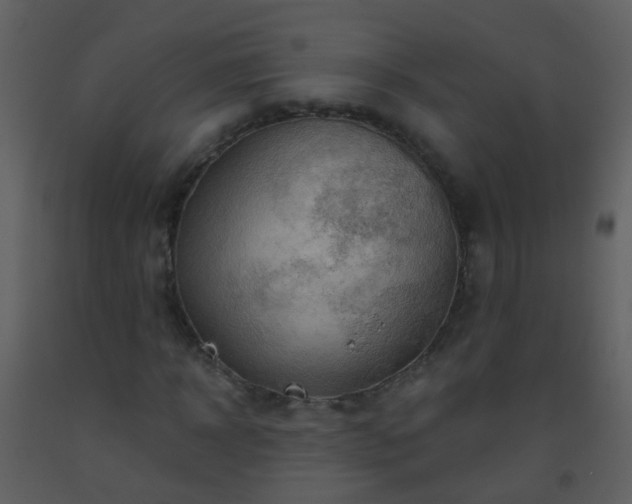 X0000093580918200710221500