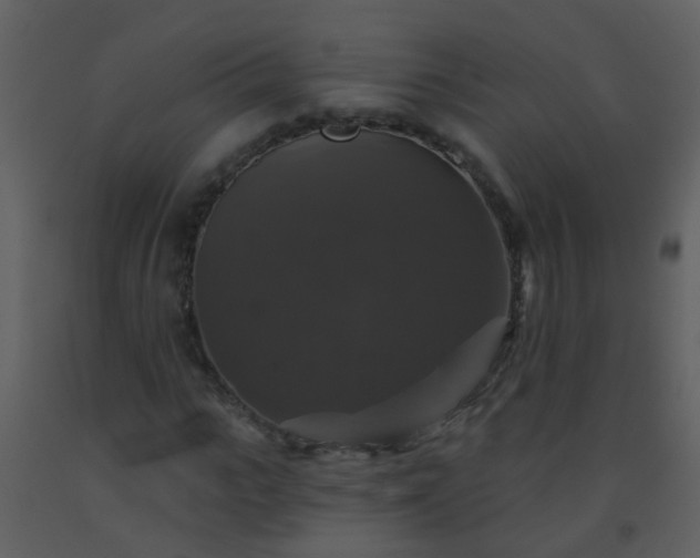 X0000093580919200710221500