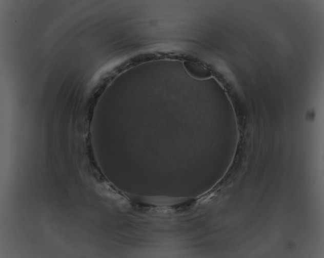 X0000093580920200710221500