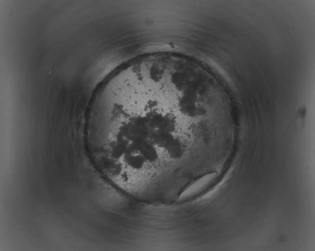 X0000093580921200710221500