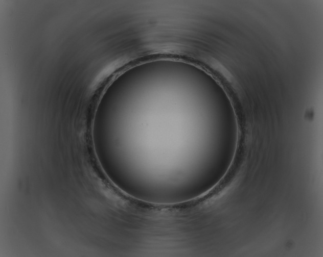 X0000093580922200710221500