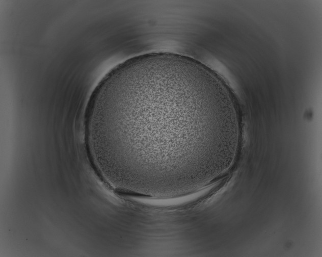 X0000093580924200710221500